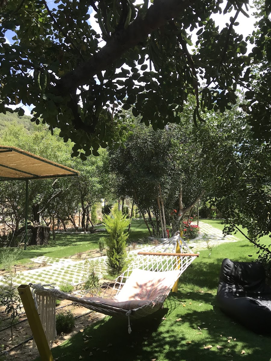 Kaş Harnup Camping thumbnail 6